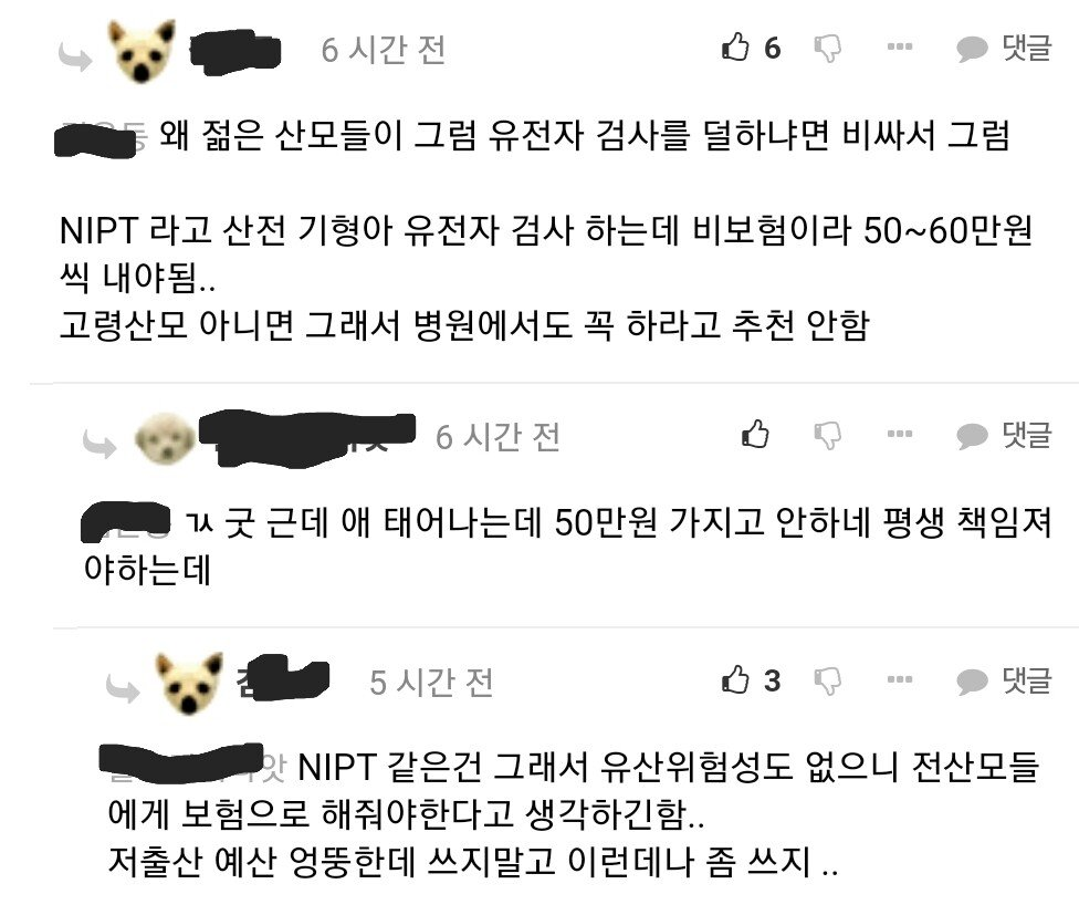 노산 증가와 다운증후군