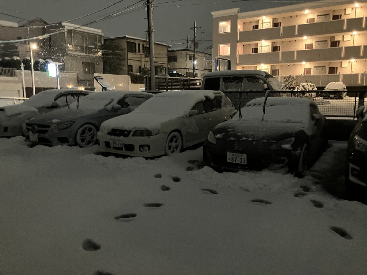 도쿄 따운! 요코하마 비상! 강릉 나와!!