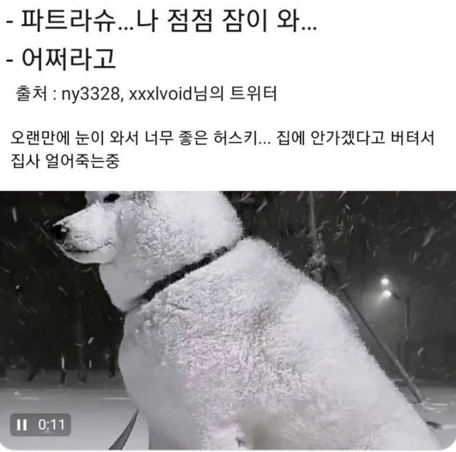 파트라슈 나 점점 잠이와