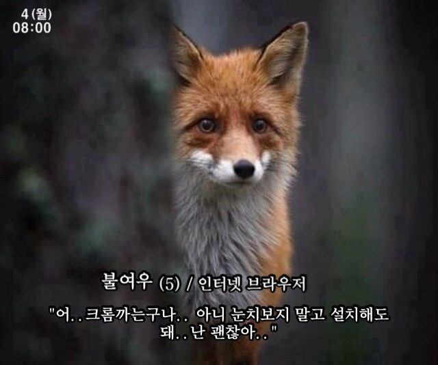 요즘 브라우저 근황