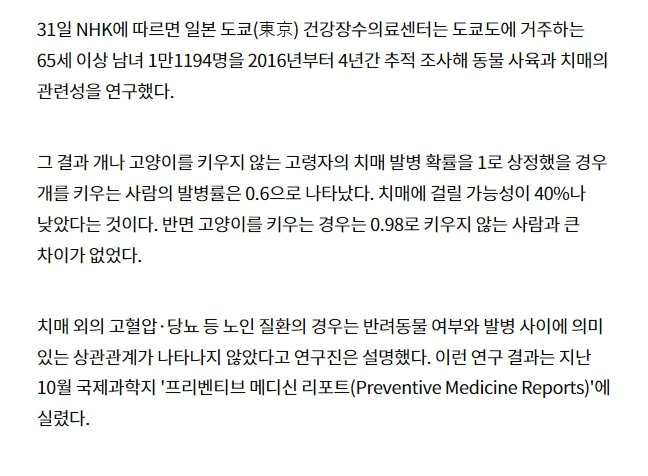 日 논문 '개 키우면 치매 위험 40%줄어...고양이는 별 효과 없어'