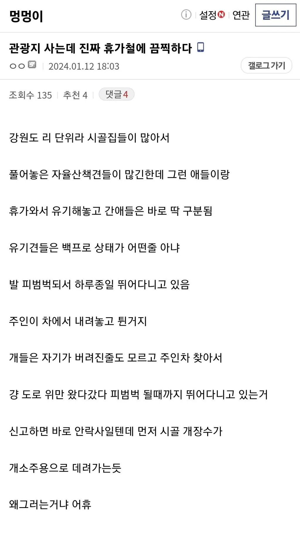 관광지 근처사는 디시인이 휴가철만 되면 보는 끔찍한 광경