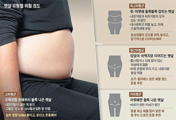 가장 위험한 뱃살