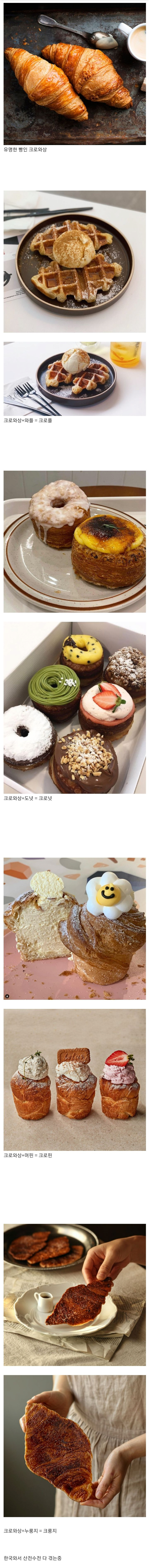 한국와서 산전수전 다 겪는 크로와상